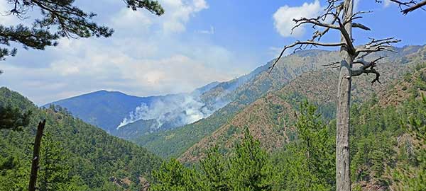 Πυροσβεστικό Σώμα: Οριοθετήθηκε η πυρκαγιά σε δασική έκταση στην περιοχή Τσακατούρα Γρεβενών