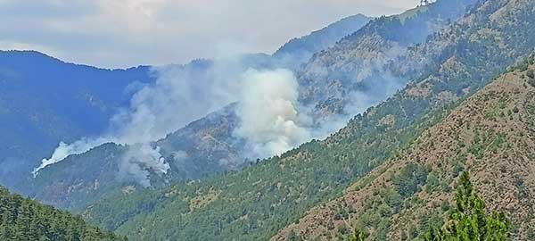 Γρεβενά: Συνεχίζει να καίει η φωτιά στη Βάλια Κάλντα (video από 27/7)