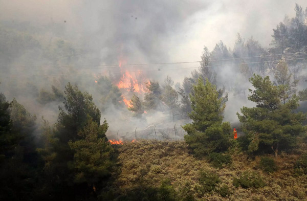 Φωτιές σε Σκάλα Λακωνίας, Ελάτεια Φθιώτιδας, Σάμο και Άρτα