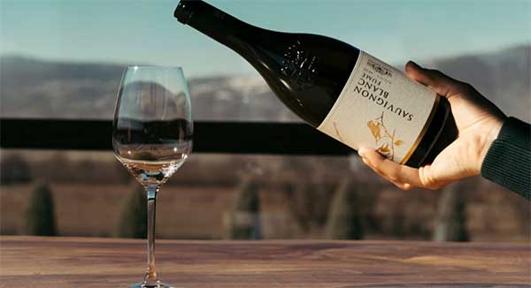 Το Sauvignon Blanc του Κτήματος Άλφα στην κορυφή των λευκών οίνων