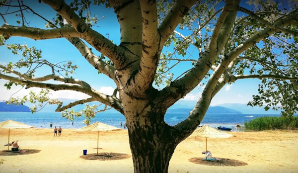 Για μπάνιο στις Πρέσπες, στην «πινέζα» του χάρτη