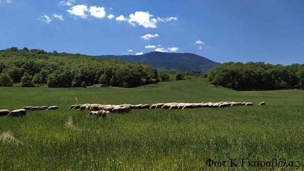 Το ποίημα του Κώστα Γκαραβέλα για τους ανθρώπους της υπαίθρου