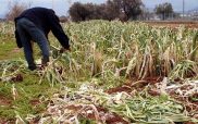 22, 3 εκ ευρώ σε 840 νέους αγρότες στη Δυτική Μακεδονία