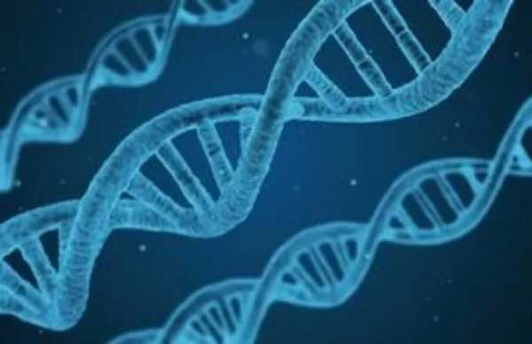 Το αρχαίο DNA «μίλησε»: Τι έδειξε για την ιστορία της Ελλάδας, της Νότιας Ευρώπης και της Ανατολίας