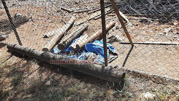 Νεκρό ελάφι παραμένει εδώ και ένα μήνα στον Προφήτη Ηλία Καστοριάς