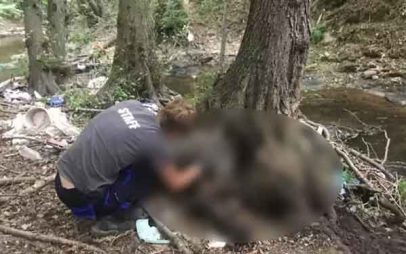 ΥΠΕΝ: Ενέργειες ύστερα από τα περιστατικά θανάτωσης τριών αρκούδων στη Φλώρινα