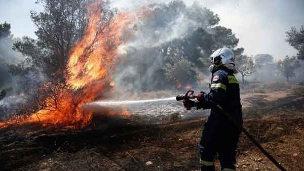 Πέλλα: Σε εξέλιξη πυρκαγιά στην περιοχή Κρανιά του δήμου Σκύδρας