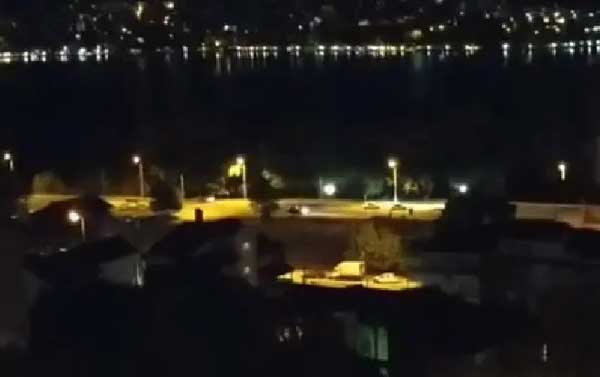 Καστοριά: Επιχείρηση απομάκρυνσης αρκούδας με τα τρία αρκουδάκια στη Λεωφόρο των Κύκνων