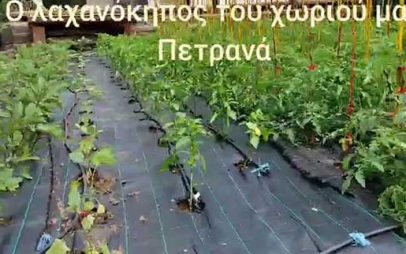 Πετρανά Κοζάνης: “Ο λαχανόκηπος του χωριού μας”