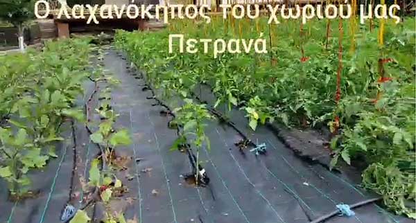 Πετρανά Κοζάνης: “Ο λαχανόκηπος του χωριού μας”