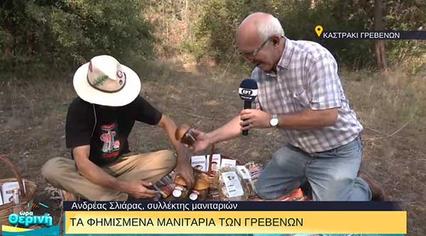 Η συγκομιδή των μανιταριών στα Γρεβενά