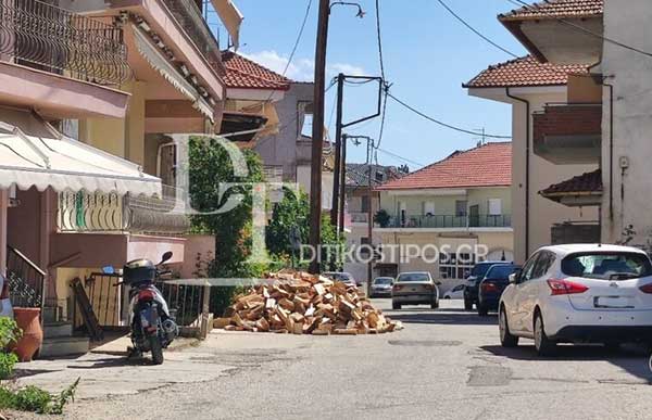 Ανάρπαστα τα καυσόξυλα στην Π.Ε Καστοριάς – Ανοδική πορεία πήρε η τιμή τους