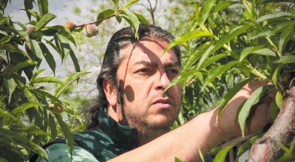 N. Κουτλιάμπας, πρόεδρος ΑΣΕΠΟΠ Βελβεντού: «Αν δεν υπάρξει συνεργατισμός, το ροδάκινο δεν έχει μέλλον»