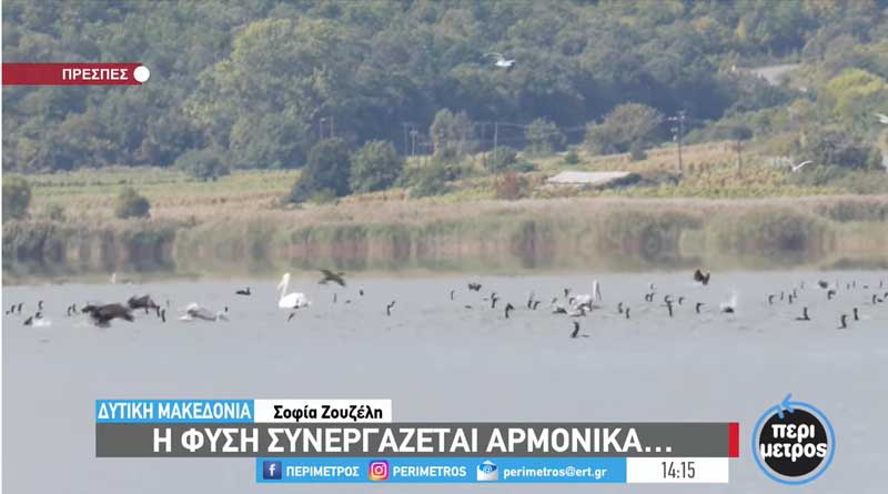 Πρέσπες: Η φύση συνεργάζεται αρμονικά…