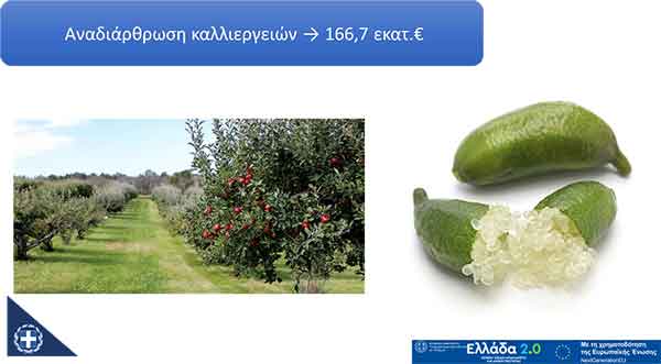 Ολοκληρώθηκε η μελέτη για την αναδιάρθρωση των καλλιεργειών