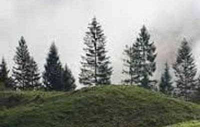 Μικρασιατικός Σύλλογος Π.Ε. Κοζάνης: Φυτεύουμε 100 δένδρα στη μνήμη των προγόνων μας