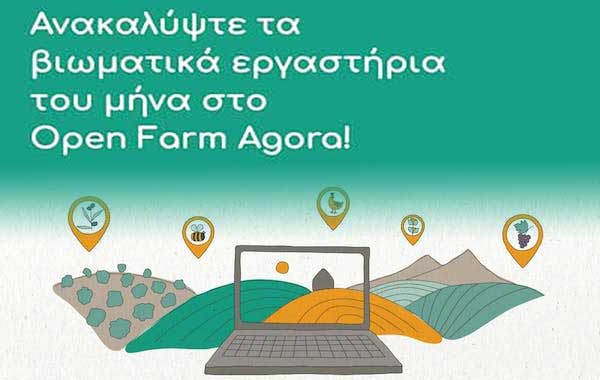 Νοέμβριος στο Open Farm Agora