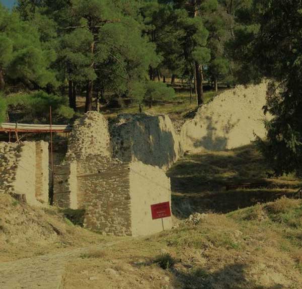 Ιστορικά των Βυζαντινών Σερβίων -Του Νίκου Μπουκουβάλα
