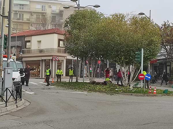 Κοζάνη: Πρωινές εργασίες της Διεύθυνσης Περιβάλλοντος με κλάδεμα δέντρων & θάμνων, αλλά και καθαρισμό του οδοστρώματος