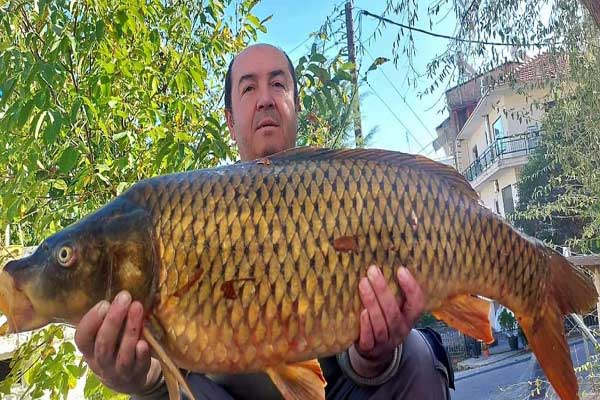 Μία καλή ψαριά βάρους 11.750 kg στη λίμνη της Καστοριάς
