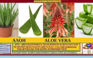 Αλόη η γνήσια (Aloe vera) – Ιστορία – Διατροφικά οφέλη – Ιατροφαρμακευτικές ιδιότητες – του Σταύρου Π. Καπλάνογλου Γεωπόνου