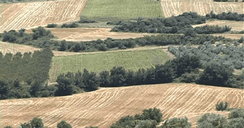 Δημοπρασίες δημοτικών εκτάσεων στο Δήμο Κοζάνης: Από τα 25 ευρώ το στρέμμα στα 235 ευρώ 