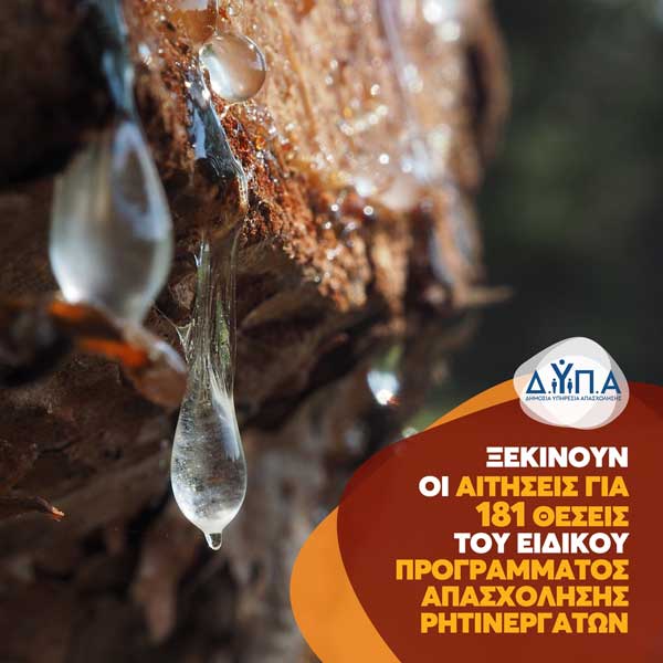 Ξεκινούν οι αιτήσεις για 181 θέσεις του ειδικού προγράμματος απασχόλησης ρητινεργατών