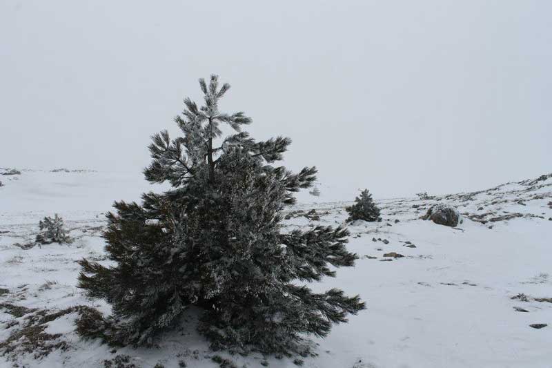 Ο Ε.Ο.Σ. Κοζάνης διοργανώνει την Κυριακή 18.12.2022 ορειβατική εξόρμηση στον Μπούρινο