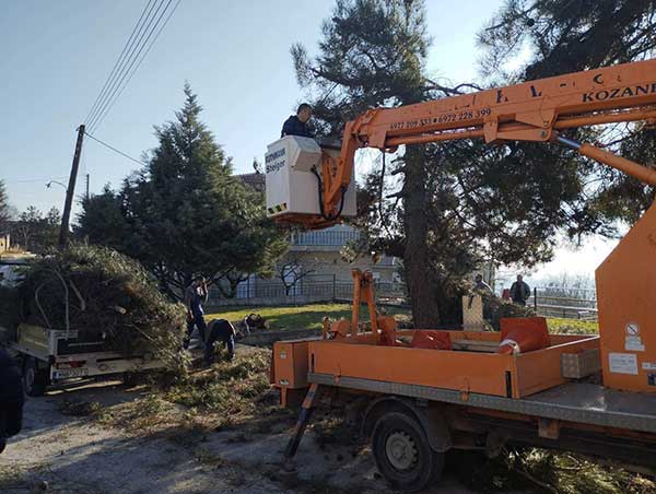 Συνεχίζονται οι εργασίες κλαδέματος στη Νέα Χαραυγή