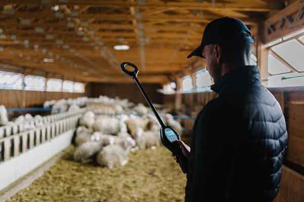 Proud Farm Group of Farmers: Μια ιστορία επιτυχίας για ένα βιώσιμο μέλλον στην κτηνοτροφία και η συνεργασία με το Enterprise Europe Network / ΑΝΚΟ