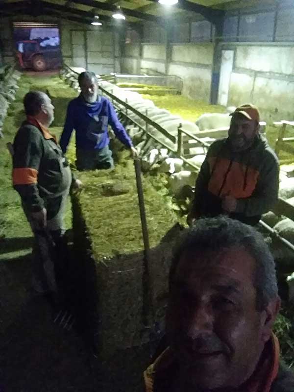 Χριστούγεννα κοντά στον πρωτογενή τομέα