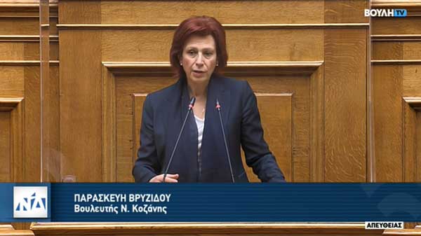 Ομιλία Παρασκευής Βρυζίδου στο ν/σ του Υπουργείου Υγείας