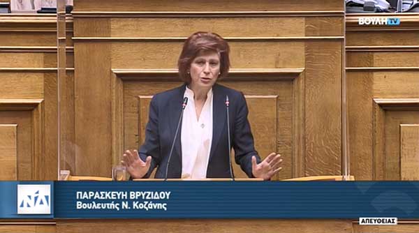 Ομιλία Π. Βρυζίδου στο ν/σ του Υπουργείου Υγείας