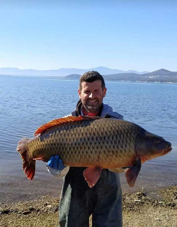 Κυπρίνος 14 κιλών αλιεύτηκε στη λίμνη Πολυφύτου