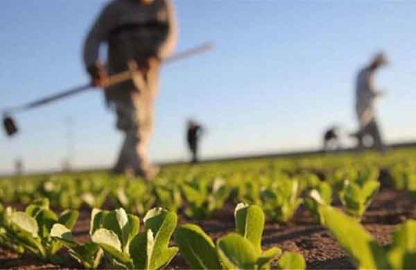 Παράταση προθεσμίας υποβολής στοιχείων συμβάσεων συμβολαιακής γεωργίας για μείωση του φόρου εισοδήματος των αγροτών