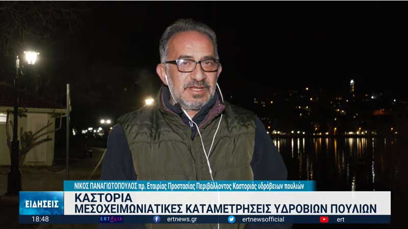 Καταμέτρηση υδρόβιων πουλιών σε 200 υγρότοπους της Ελλάδας-Και στην Καστοριά