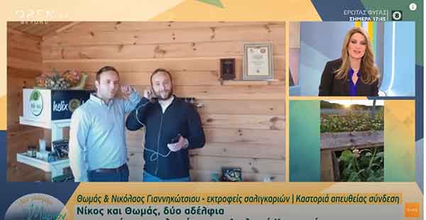 Δύο αδέλφια εκτρέφουν σαλιγκάρια στην Καστοριά