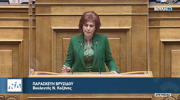 Ομιλία Π. Βρυζίδου στο ν/σ του Υπουργείου Εσωτερικών «Πολυεπίπεδη διακυβέρνηση και διαχείριση κινδύνων στο δημόσιο τομέα» στην Ολομέλεια της Βουλής