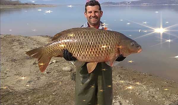 Γριβάδι 20 κιλών και ενός μέτρου αλιεύτηκε στη Λίμνη Πολυφύτου