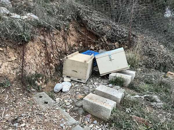 Καστοριά: Αρκούδα στην Καλλιθέα