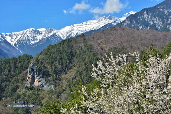 Ανοιξιάτικος Όλυμπος (Φωτογραφίες)