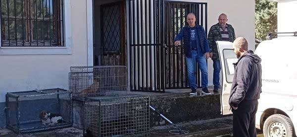66 νέες στειρώσεις στο δημοτικό κτηνιατρείο της Λευκόβρυσης