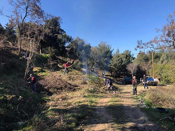 Εθελοντική εξόρμηση για το πράσινο στο Βελβεντό
