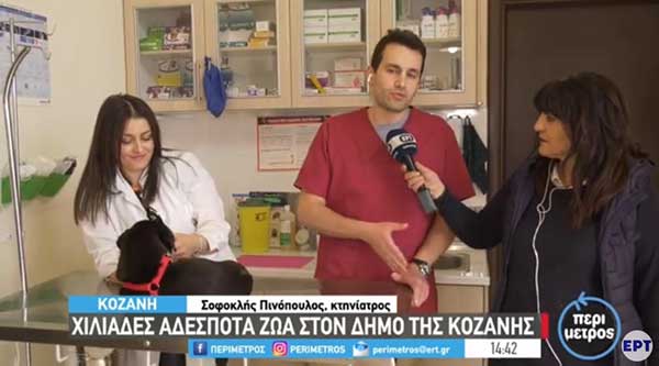 4 Απριλίου – Παγκόσμια ημέρα για τα αδέσποτα: Χιλιάδες αδέσποτα ζώα στον Δήμο Κοζάνης
