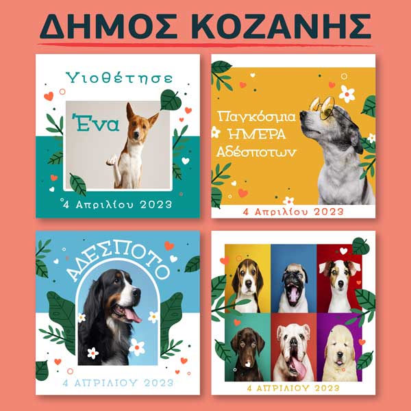 Δήμος Κοζάνης: Παγκόσμια Ημέρα Αδέσποτων Ζώων – Υιοθέτησε ένα τετράποδο
