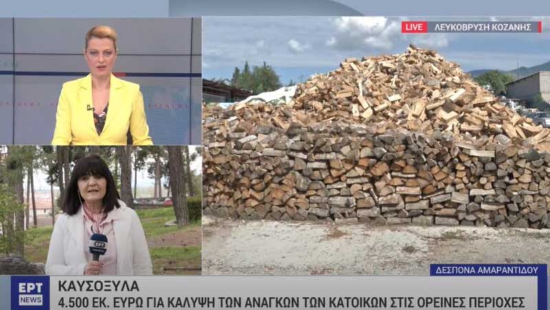 «Τρέχουν» από νωρίς οι διαδικασίες για τα καυσόξυλα-Στόχος ο Σεπτέμβρης