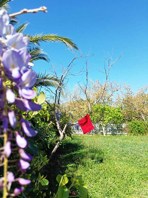 Κόκκινα αυγά και περδίκες – Της Ματίνας Τσικριτζή Μόμτσιου