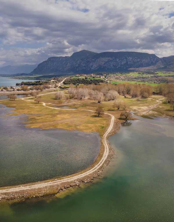 Φωτογραφία ημέρας: Πλατανόδασος Ρυμνίου