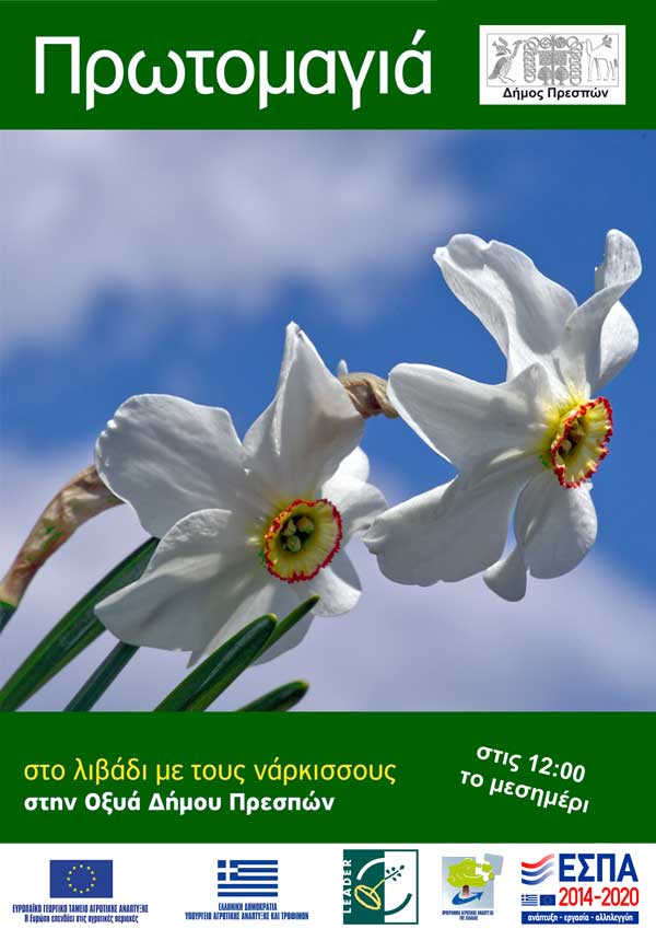Πρωτομαγιά στο λιβάδι με τους νάρκισσους, στην Οξυά Πρεσπών