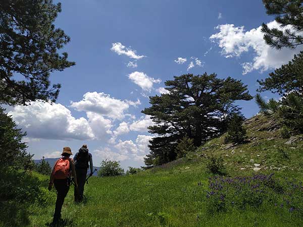 Ο Ε.Ο.Σ. Κοζάνης διοργανώνει την Κυριακή 28.5.2023 ορειβατική διαδρομή στην Βάλια Κάλντα